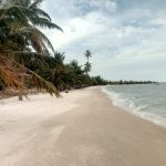 circuits-touristiques-au-senegal-9