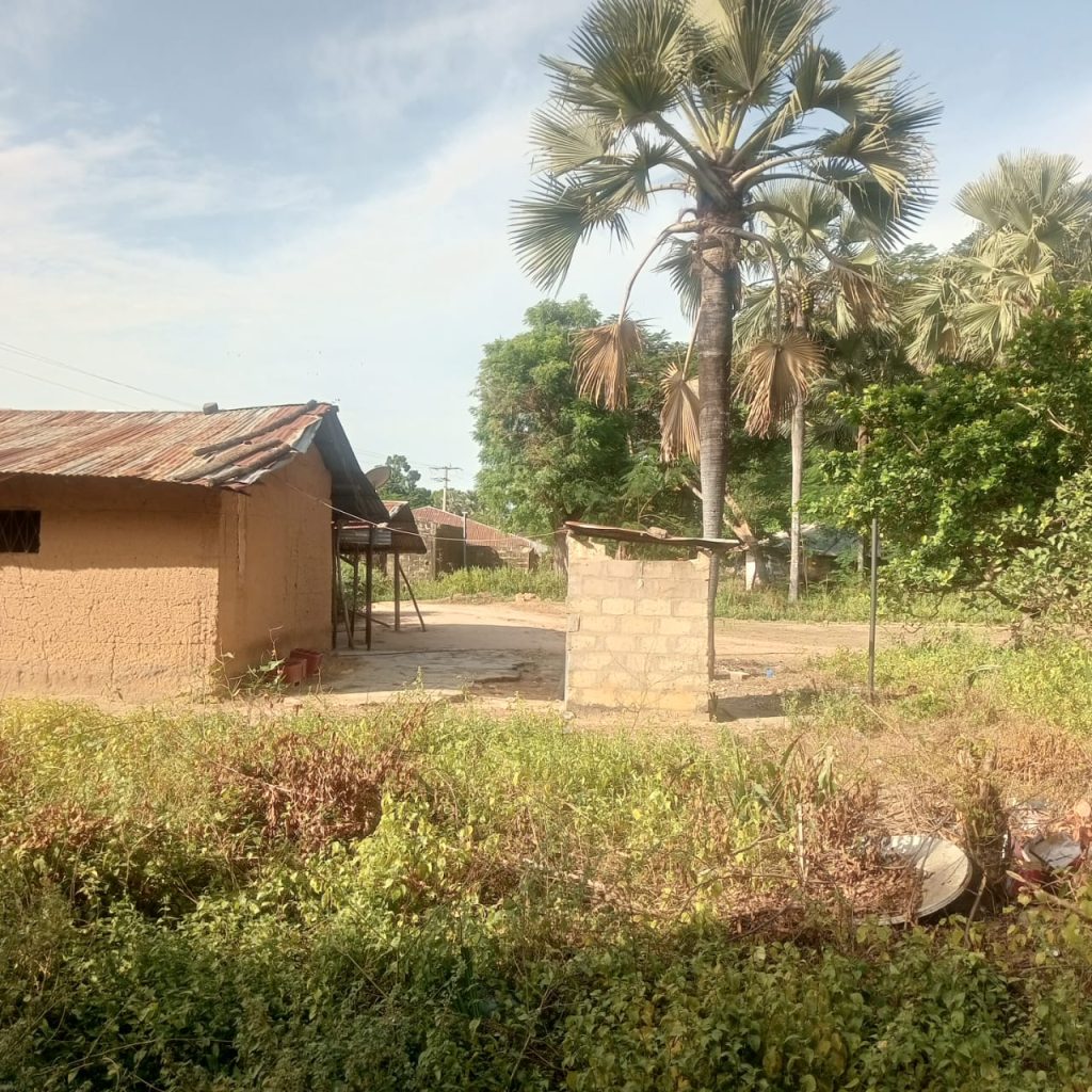 excursions-saly-senegal-7